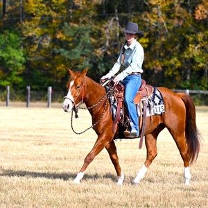 Meet your Posher, Kailey